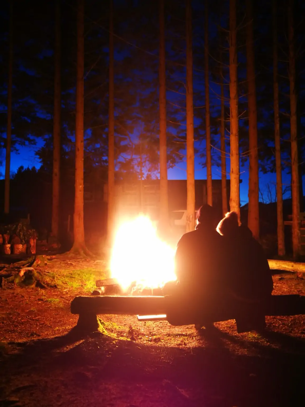 Hafren Forest Hideaway - enjoy evenings round the firepit